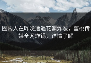 圈内人在昨晚遭遇花絮炸裂，蜜桃传媒全网炸锅，详情了解