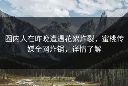 圈内人在昨晚遭遇花絮炸裂，蜜桃传媒全网炸锅，详情了解