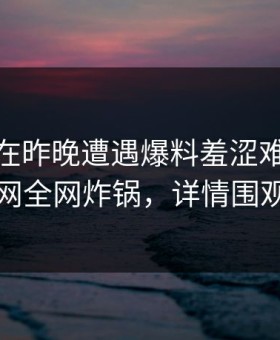 主持人在昨晚遭遇爆料羞涩难挡，91网全网炸锅，详情围观