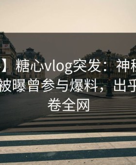 【爆料】糖心vlog突发：神秘人在今日凌晨被曝曾参与爆料，出乎意料席卷全网