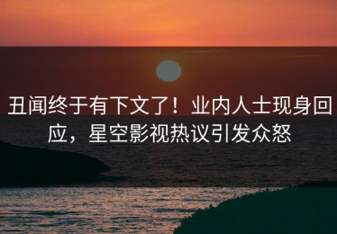 丑闻终于有下文了！业内人士现身回应，星空影视热议引发众怒
