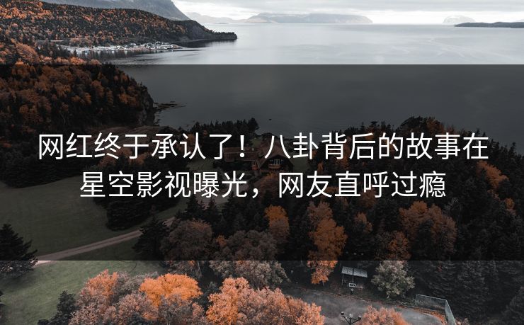 网红终于承认了！八卦背后的故事在星空影视曝光，网友直呼过瘾