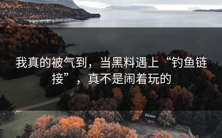 我真的被气到，当黑料遇上“钓鱼链接”，真不是闹着玩的